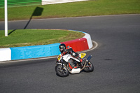 Advanced Group White Bikes